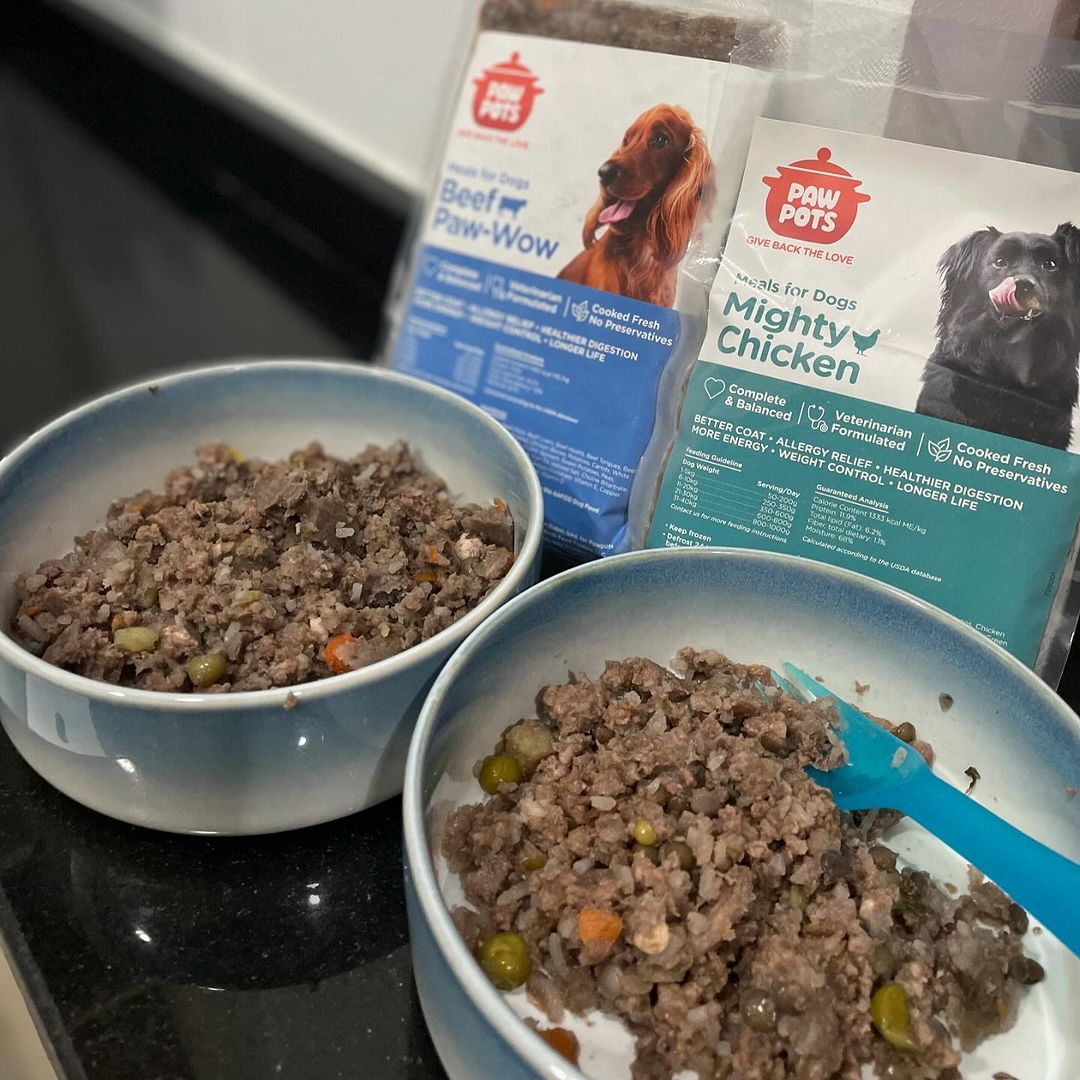 best dog food and cat food in dubai