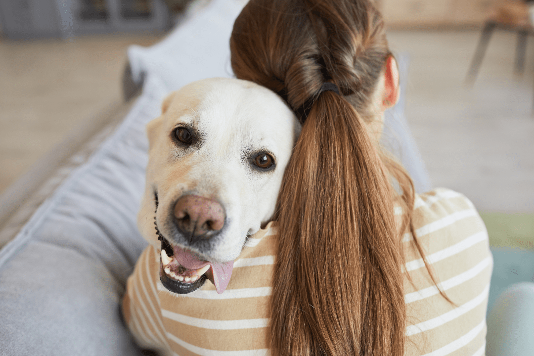 happy dog with owner