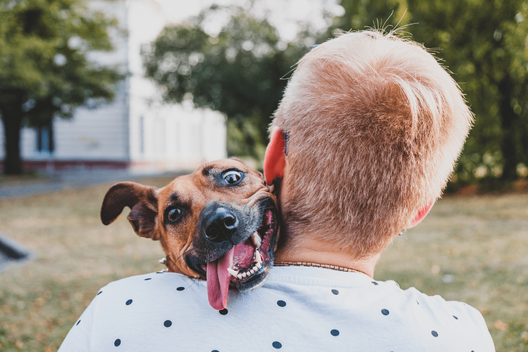 human carrying happy dog